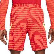 Short de sport Rouge Homme Nike Dry Strike vue 2