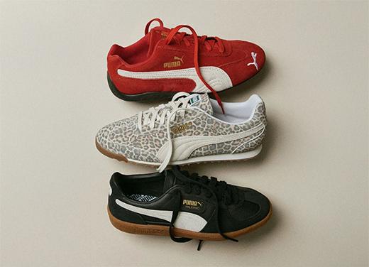 Photo puma