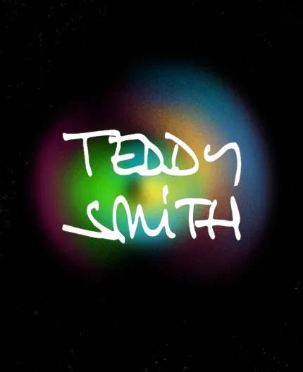 Teddy smith marque
