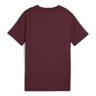 T-shirt Bordeaux Garçon Puma Ess 2 Color vue 2