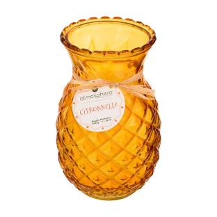 Bougie Citronnelle Verte/Orange Atmosphera vue 0