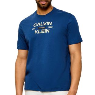 Blaues Herren-T-Shirt „Royal“ von Calvin Klein Jeans (Calvinklei) Ansicht 0