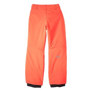 Pantalon de ski Orange Fluo Garçon O'Neill Hammer Pants vue 2
