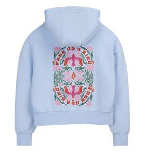 Pastellblauer Sweater für Jungen „Teddy Smith Hoody“ Ansicht 0