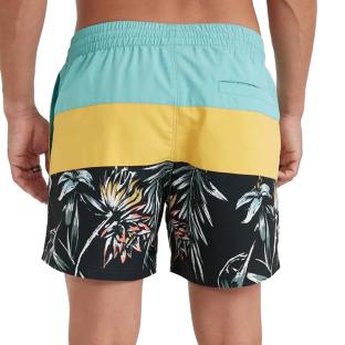 Maillot de bain Turquoise Homme O'Neill Mix & Match Cali vue 0