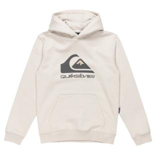 Sweat à Capuche Gris Garçon Quiksilver Big logo pas cher