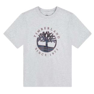 Camiseta gris para niño Timberland T60292 Grey ver 0