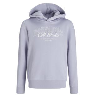 Sweat à Capuche Mauve Garçon Jack & Jones Makoto vue 3