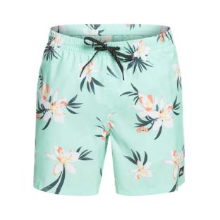 Short de bain Turquoise Homme Quiksilver Mix 177 vue 0