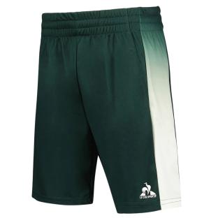 Short de Sport Vert Homme Le Coq Sportif Tennis Pro N°2 vue 0