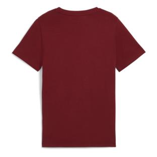 T-shirt Gris/Bordeaux/Noir Garçon Puma B Ess Block Tee vue 2