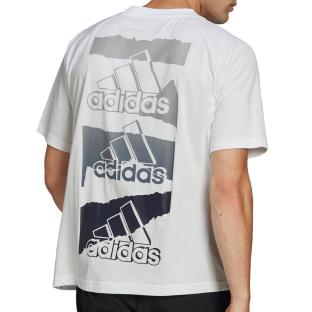 T-shirt Blanc Homme Adidas M Bl Q2 T vue 2