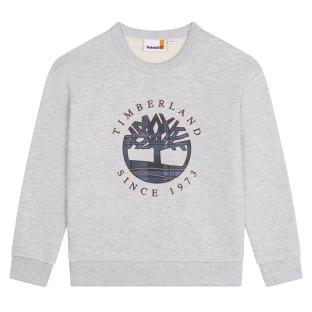 Graues Sweatshirt für Jungen von Timberland T60319/A32-CD Ansicht 0