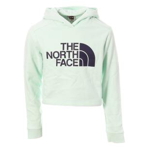 Sweat Vert Fille The North Face NF0A558SWC71 pas cher