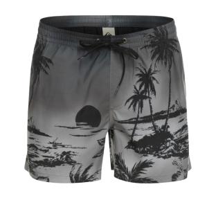 Bañador negro para hombre Quiksilver Paradise 15 Jamv ver 0