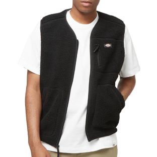 Gilet Noir Homme Dickies Mount Hope vue 0