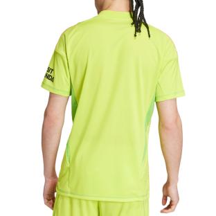 Arsenal Maillot de Gardien Jaune Homme Adidas 24/25 vue 0
