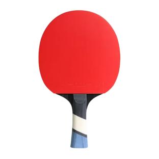 Raquette de ping-pong Noir/Rouge Cornilleau 500 pas cher