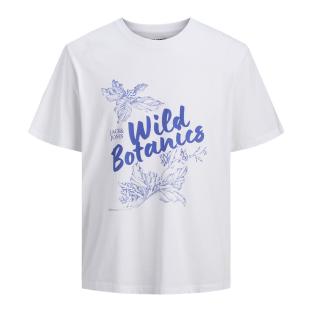 T-Shirt Blanc/Bleu Homme Jack & Jones Larri vue 0