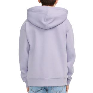 Sweat à Capuche Violet Garçon Languid vue 2