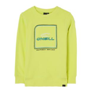 Sweat Vert Anis Garçon O'Neill All Year Crew pas cher