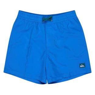 Maillot de Bain Bleu Homme Quiksilver Solid 15 EQYJV04120 pas cher