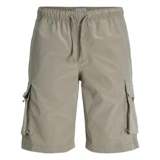 Short Gris Homme Jack & Jones Cole vue 0