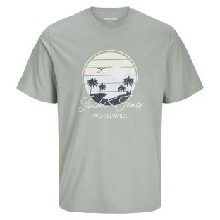 T-shirt Vert Garçon Jack & Jones Palm pas cher