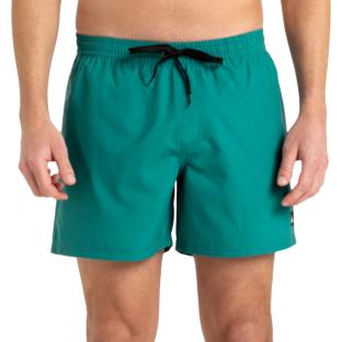 Short de Bain Vert Homme Quiksilver Solid 15 vue 0