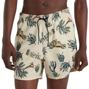 Maillot de bain Beige/Vert Homme O'Neill Cali vue 0