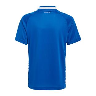 France Maillot de Handball Réplica Junior Adidas vue 2