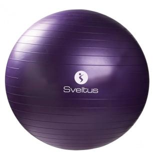 Ballon de Gymnastique Sveltus Violet 55 Cm vue 0