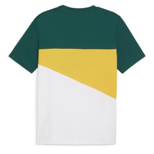 Sénégal Maillot Vert Homme Puma 2024 vue 2