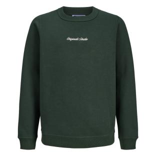Sweat Vert Garçon Jack & Jones Norrebro vue 0