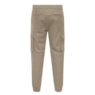 Pantalon Cargo Beige Homme Only & Sons Regular 5750 vue 2