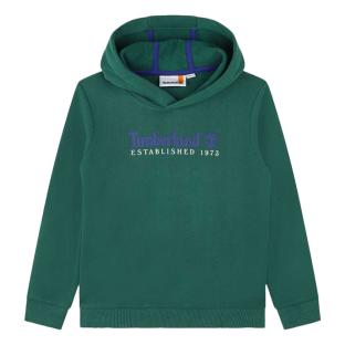 Sweat Vert/Bleu Garçon Timberland T25U56 vue 0