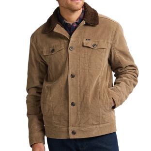 Veste Camel Homme Petrol Industries Padded pas cher
