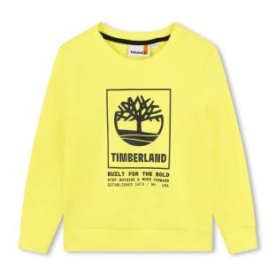 Sweat Jaune Garçon Timberland T60075 vue 0