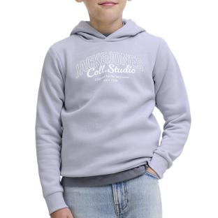 Sweat à Capuche Mauve Garçon Jack & Jones Makoto pas cher