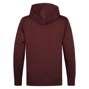 Sweat à Capuche Bordeaux Homme Petrol Industries Print vue 2