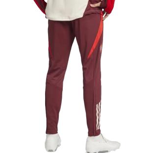 Pantalon d'entraînement de football Bordeaux homme Adidas FC Bayern Tiro 24 vue 0
