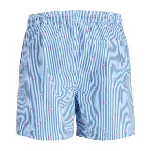 Short de bain Bleu Homme Jack & Jones Stripes vue 2