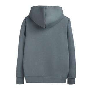 Sweat à Capuche Gris Homme Teddy Smith nark Hoody vue 2