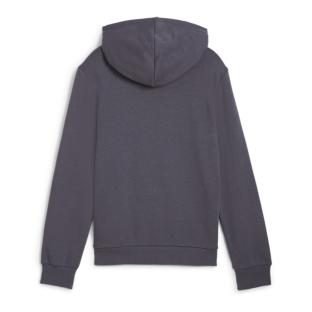 Sweat Gris Garçon Puma Cat Ho vue 2