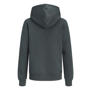 Sweat Gris Foncé Homme Jack & Jones Frederiksberg vue 2
