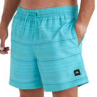 Maillot de bain Turquoise O'Neill Scallop vue 0