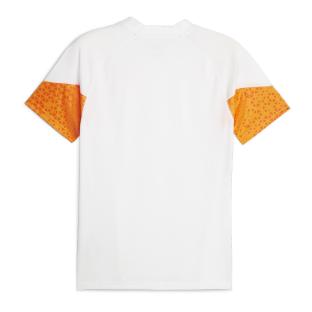 Manchester City Maillot d'entraînement Homme Puma 2023/24 vue 0
