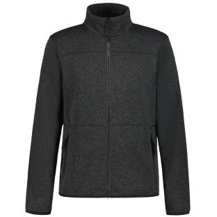 Veste Grise Homme Icepeak Adrianes vue 0