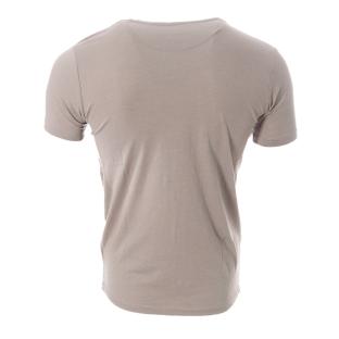 T-shirt Gris Homme Best Mountain 1013 vue 2