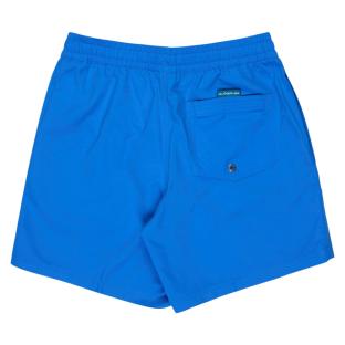 Maillot de Bain Bleu Homme Quiksilver Solid 15 EQYJV04120 vue 2